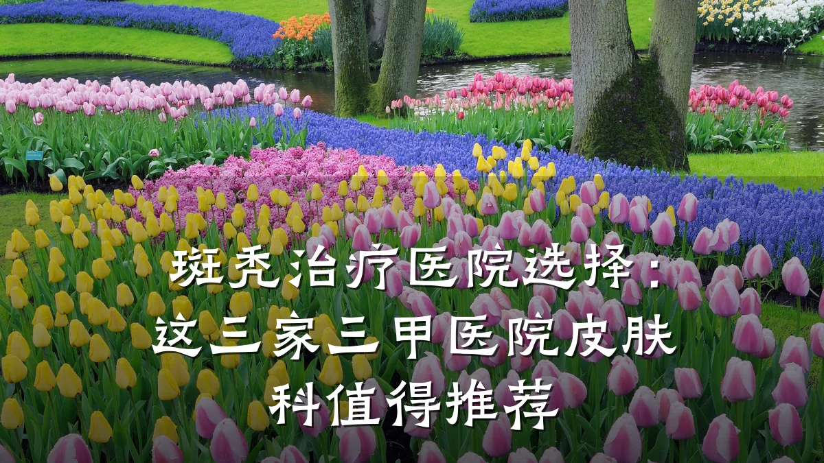 斑秃治疗医院选择：这三家三甲医院皮肤科值得推荐