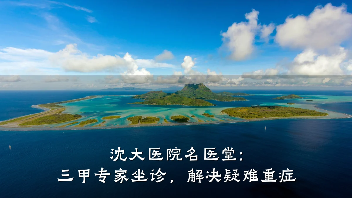 沈大医院名医堂: 三甲专家坐诊,解决疑难重症