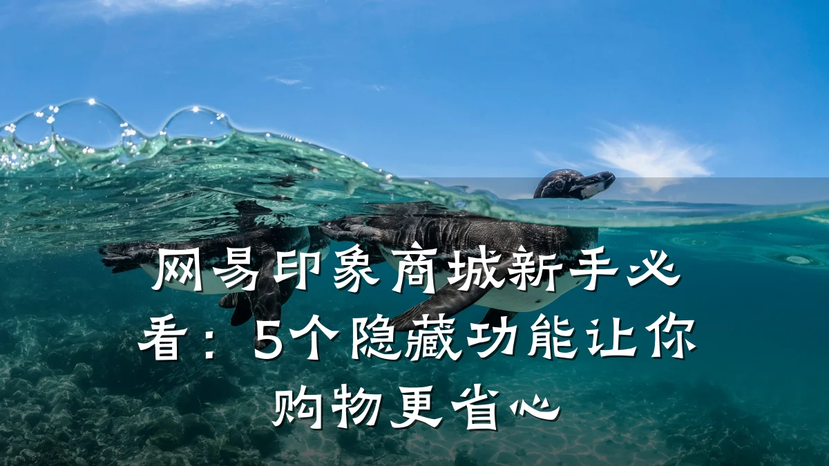 网易印象商城新手必看:5个隐藏功能让你购物更省心