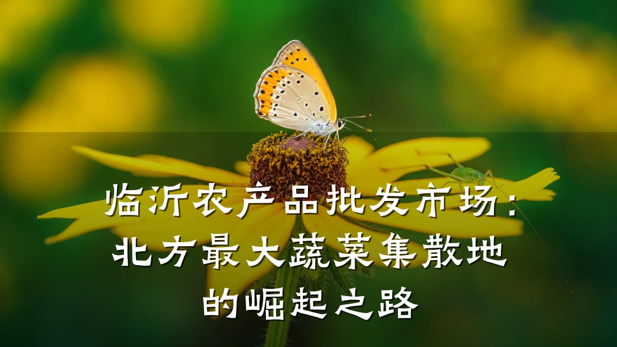 临沂农产品批发市场:北方最大蔬菜集散地的崛起之路