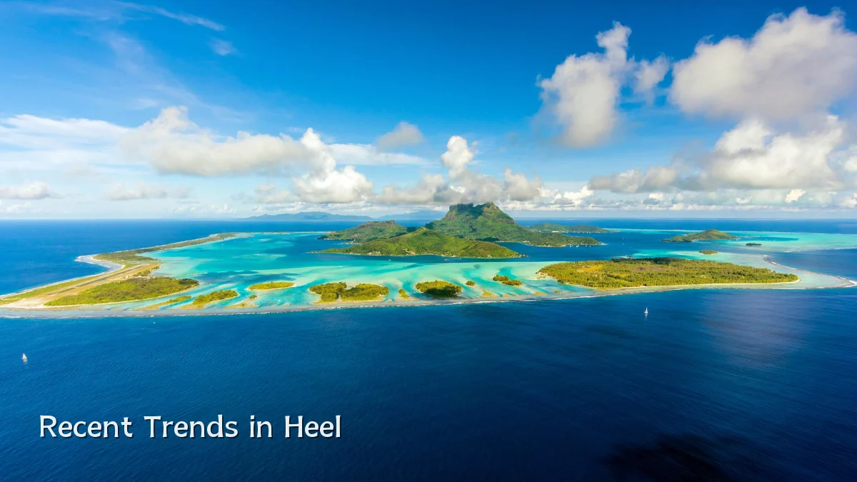 Recent Trends in Heel