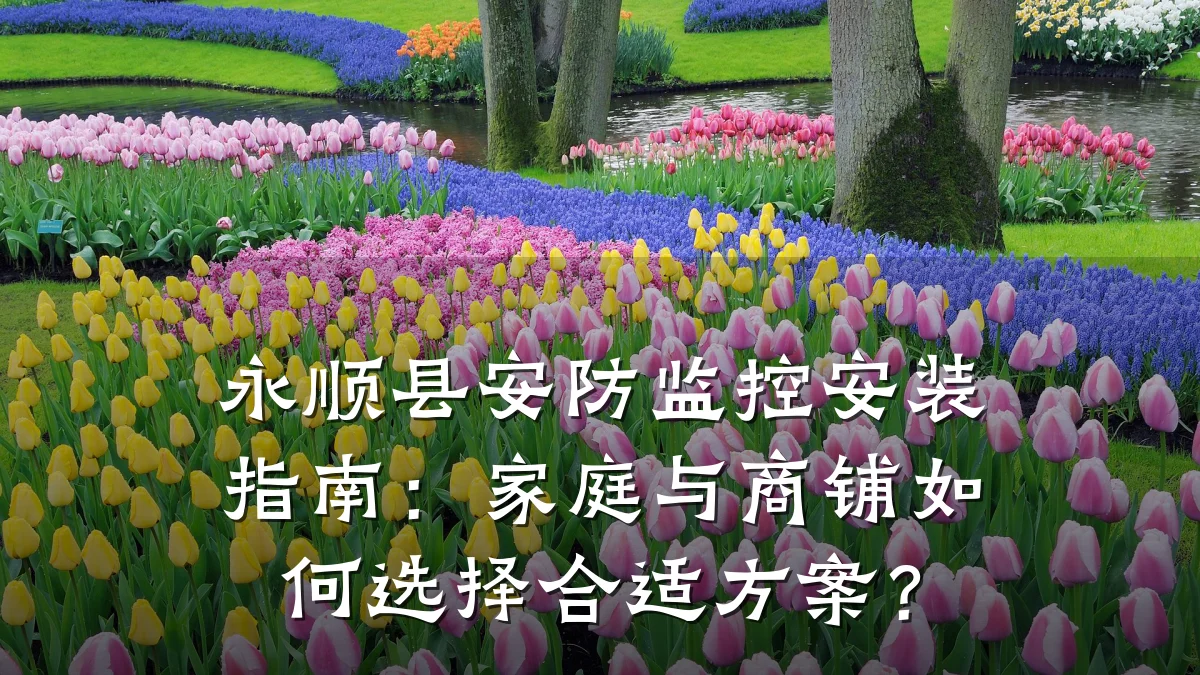 永顺县安防监控安装指南:家庭与商铺如何选择合适方案?