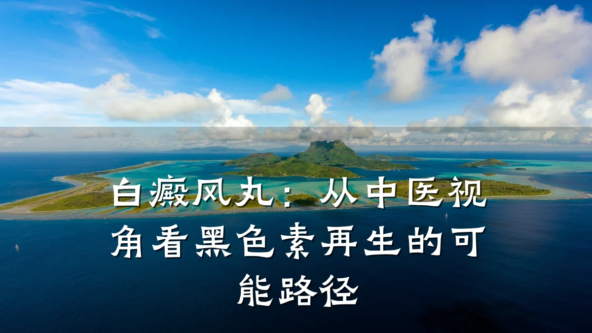 白癜风丸:从中医视角看黑色素再生的可能路径