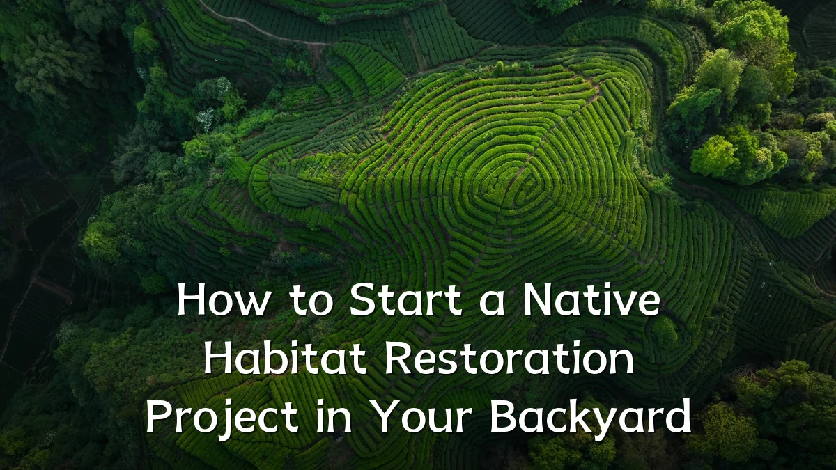 How to Start a Native Habitat Restoration Project in Your Backyard
