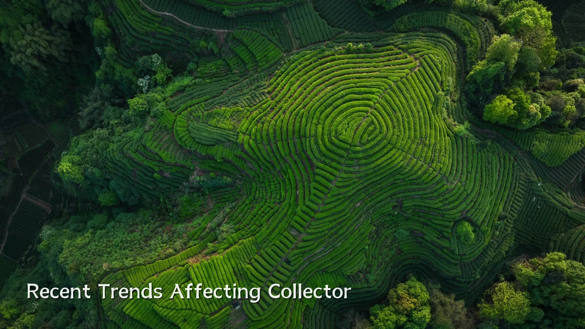 Recent Trends Affecting Collector