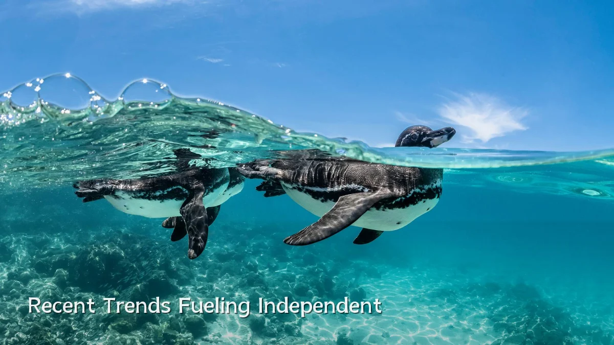 Recent Trends Fueling Independent