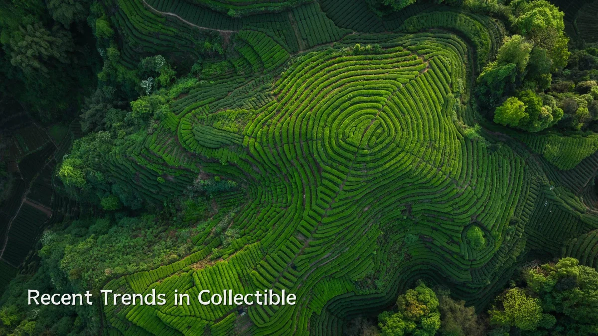 Recent Trends in Collectible