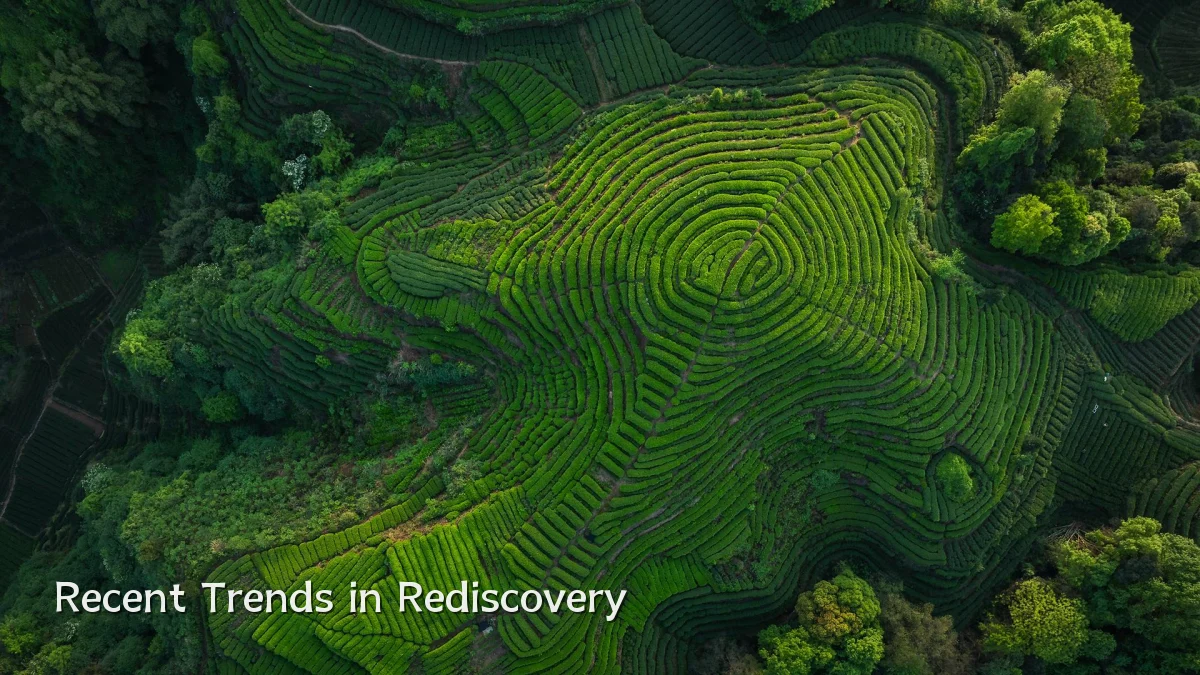 Recent Trends in Rediscovery