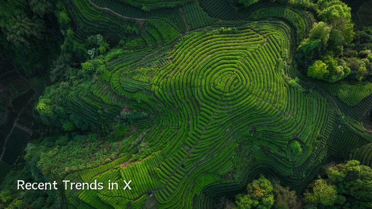 Recent Trends in X