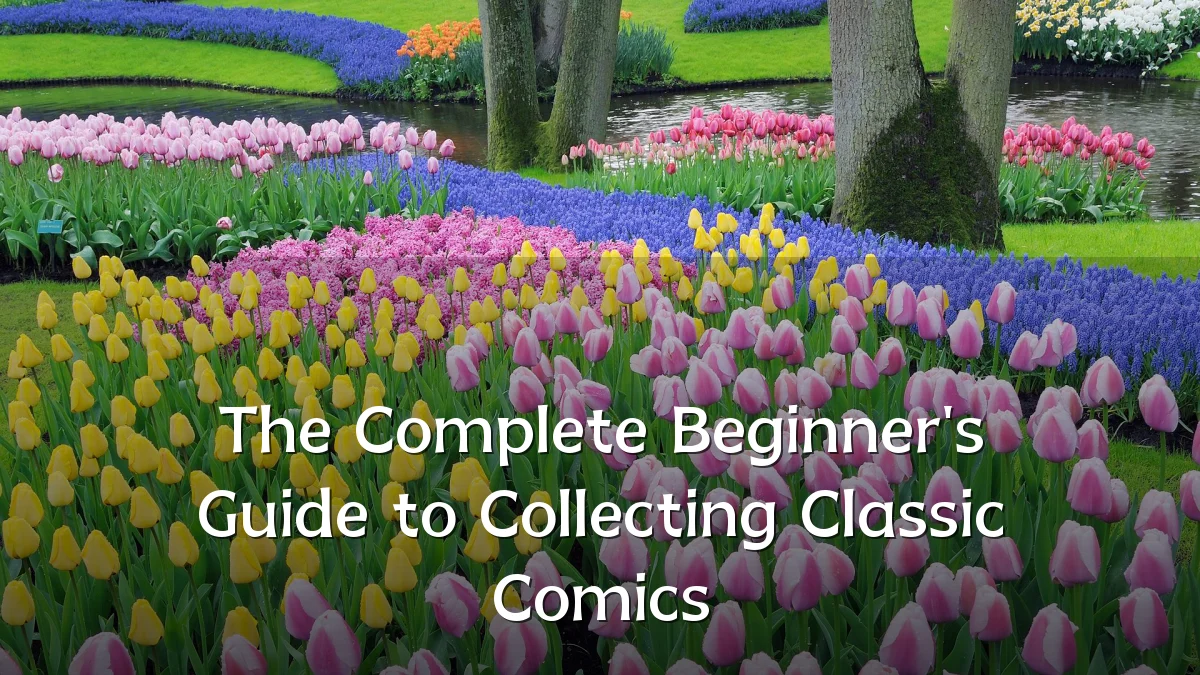 The Complete Beginner's Guide to Collecting Classic Comics