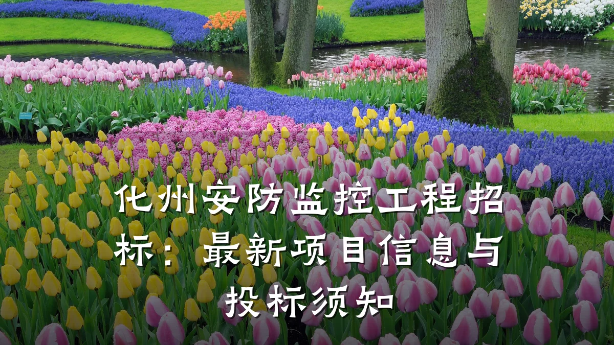 化州安防监控工程招标:最新项目信息与投标须知