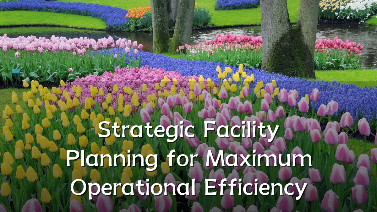 Strategic Facility Planning for Maximum Operational Efficiency