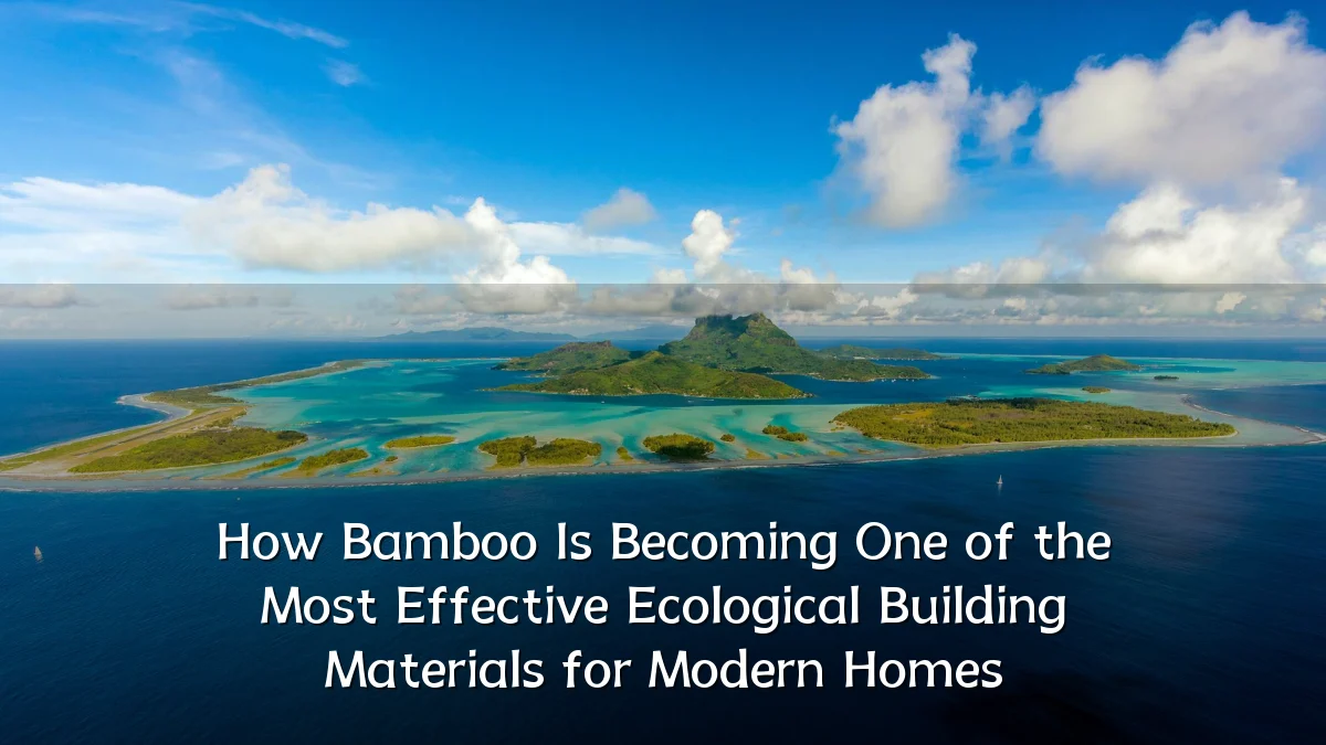 How Bamboo Is Becoming One of the Most Effective Ecological Building Materials for Modern Homes