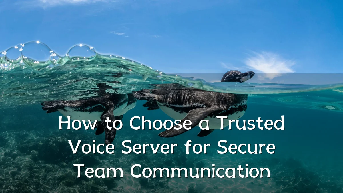 How to Choose a Trusted Voice Server for Secure Team Communication