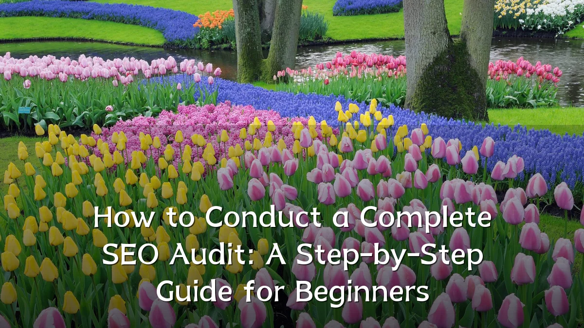 How to Conduct a Complete SEO Audit: A Step-by-Step Guide for Beginners