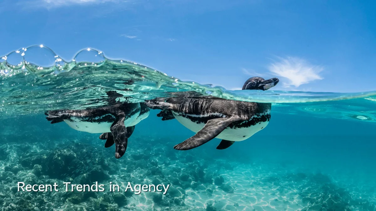 Recent Trends in Agency