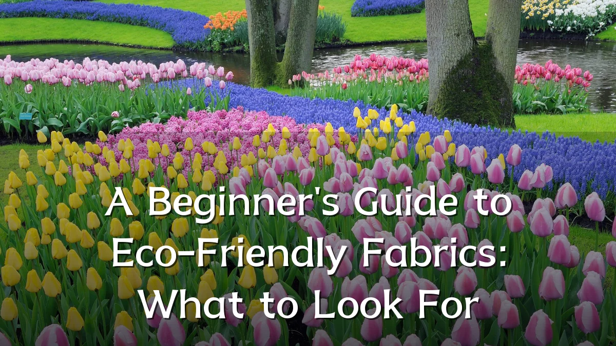 A Beginner's Guide to Eco-Friendly Fabrics: What to Look For