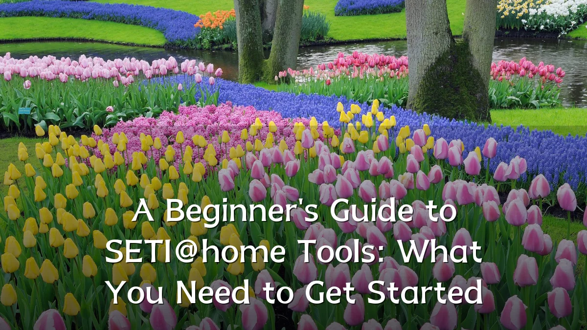A Beginner's Guide to SETI@home Tools: What You Need to Get Started
