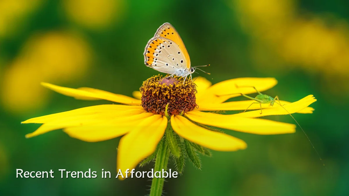 Recent Trends in Affordable
