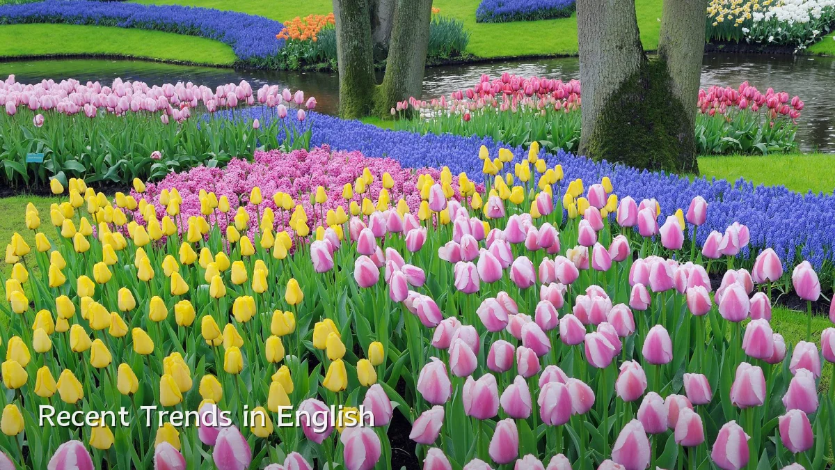 Recent Trends in English