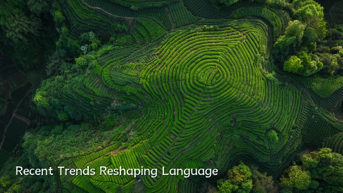 Recent Trends Reshaping Language