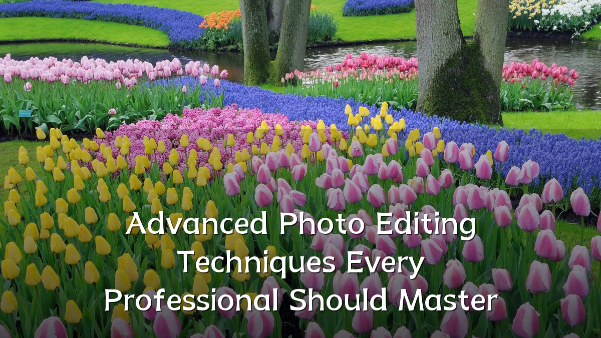Advanced Photo Editing Techniques Every Professional Should Master