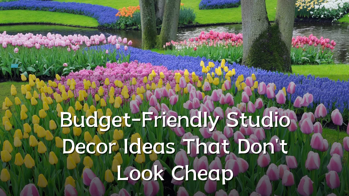 Budget-Friendly Studio Decor Ideas That Don't Look Cheap