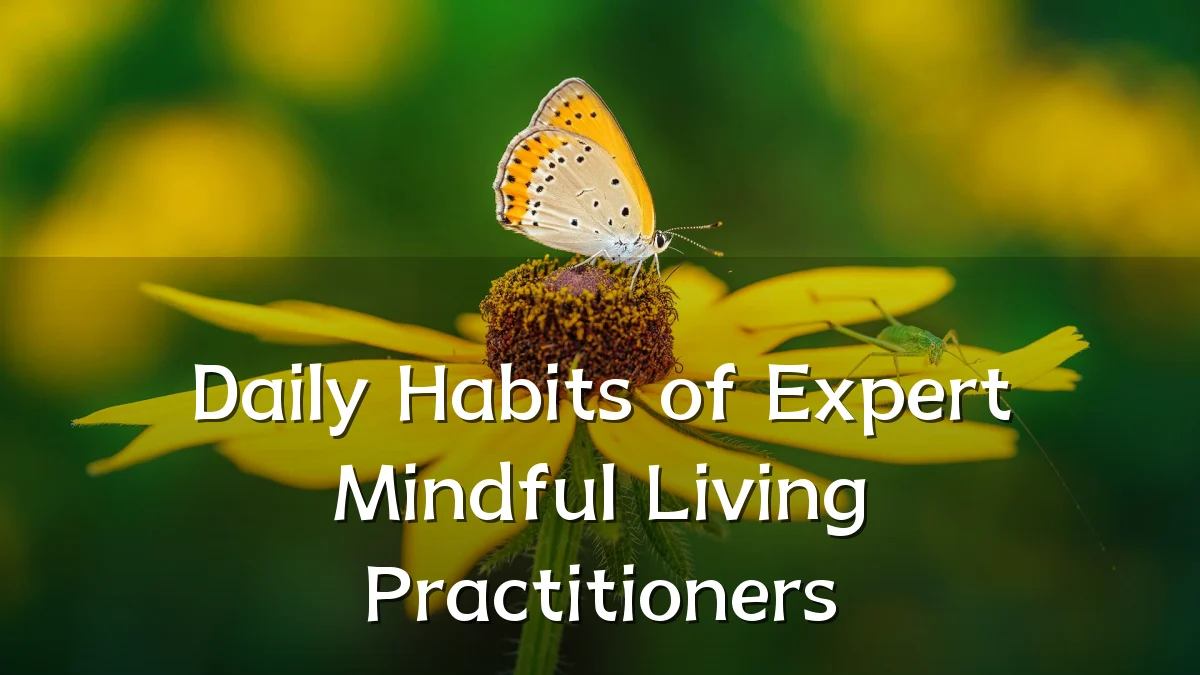 Daily Habits of Expert Mindful Living Practitioners