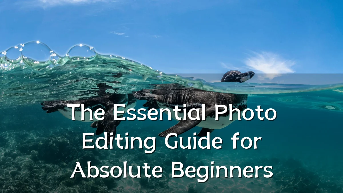 The Essential Photo Editing Guide for Absolute Beginners