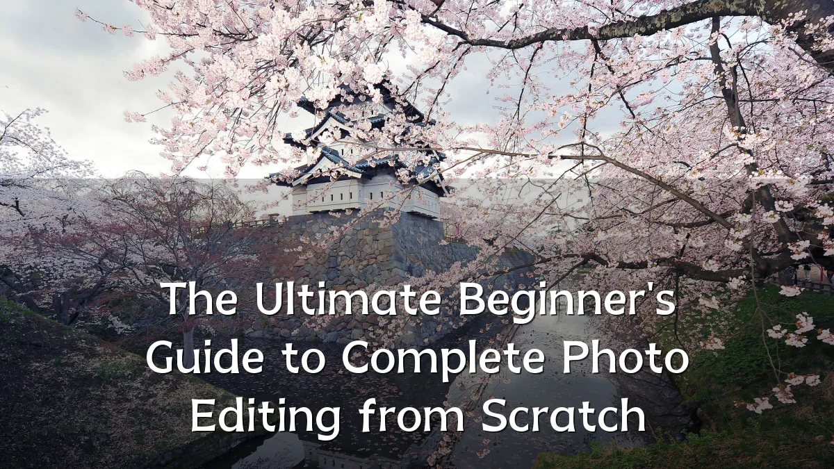 The Ultimate Beginner's Guide to Complete Photo Editing from Scratch