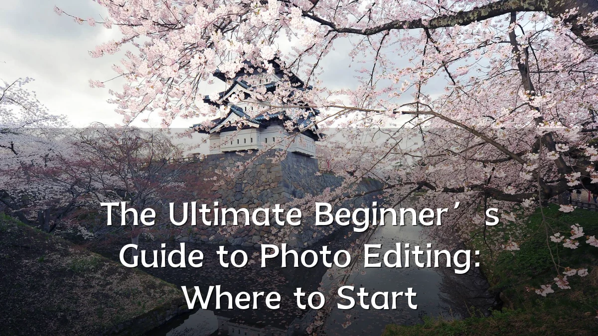 The Ultimate Beginner’s Guide to Photo Editing: Where to Start
