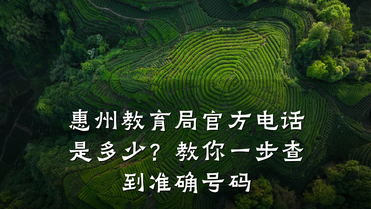 惠州教育局官方电话是多少?教你一步查到准确号码