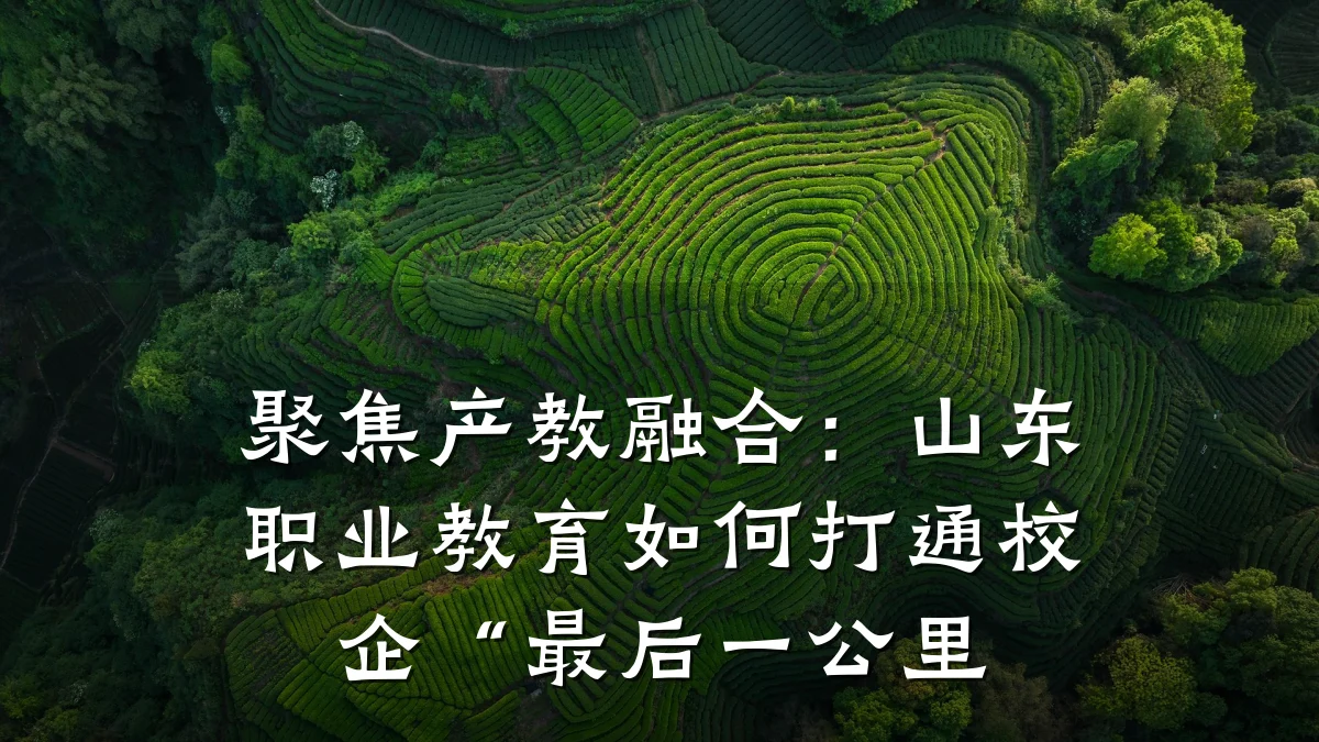 聚焦产教融合：山东职业教育如何打通校企“最后一公里