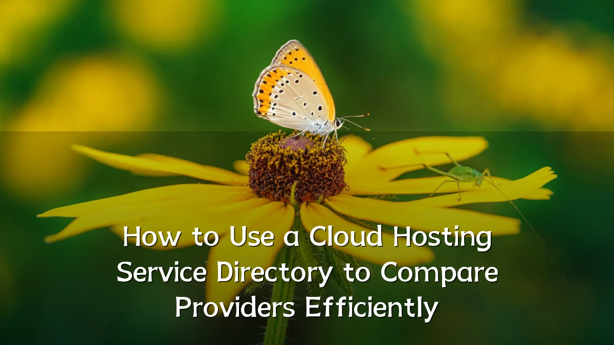 How to Use a Cloud Hosting Service Directory to Compare Providers Efficiently