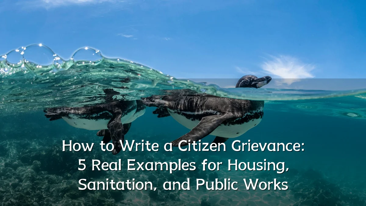 How to Write a Citizen Grievance: 5 Real Examples for Housing, Sanitation, and Public Works