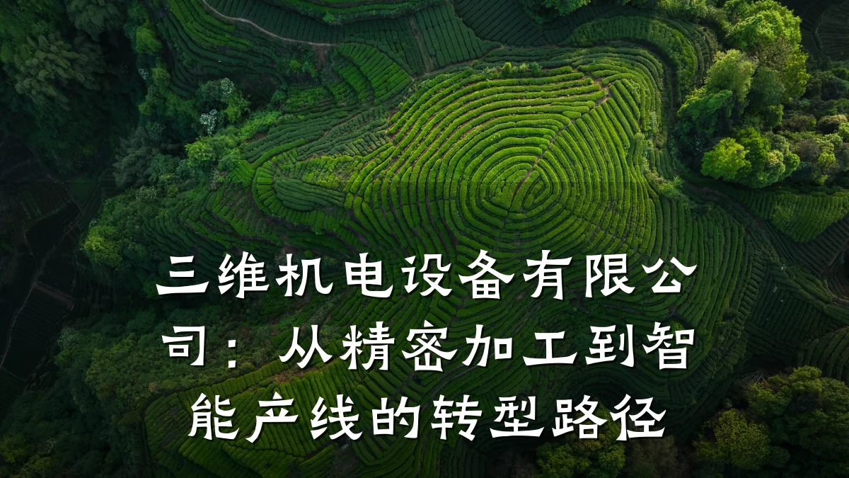 三维机电设备有限公司:从精密加工到智能产线的转型路径